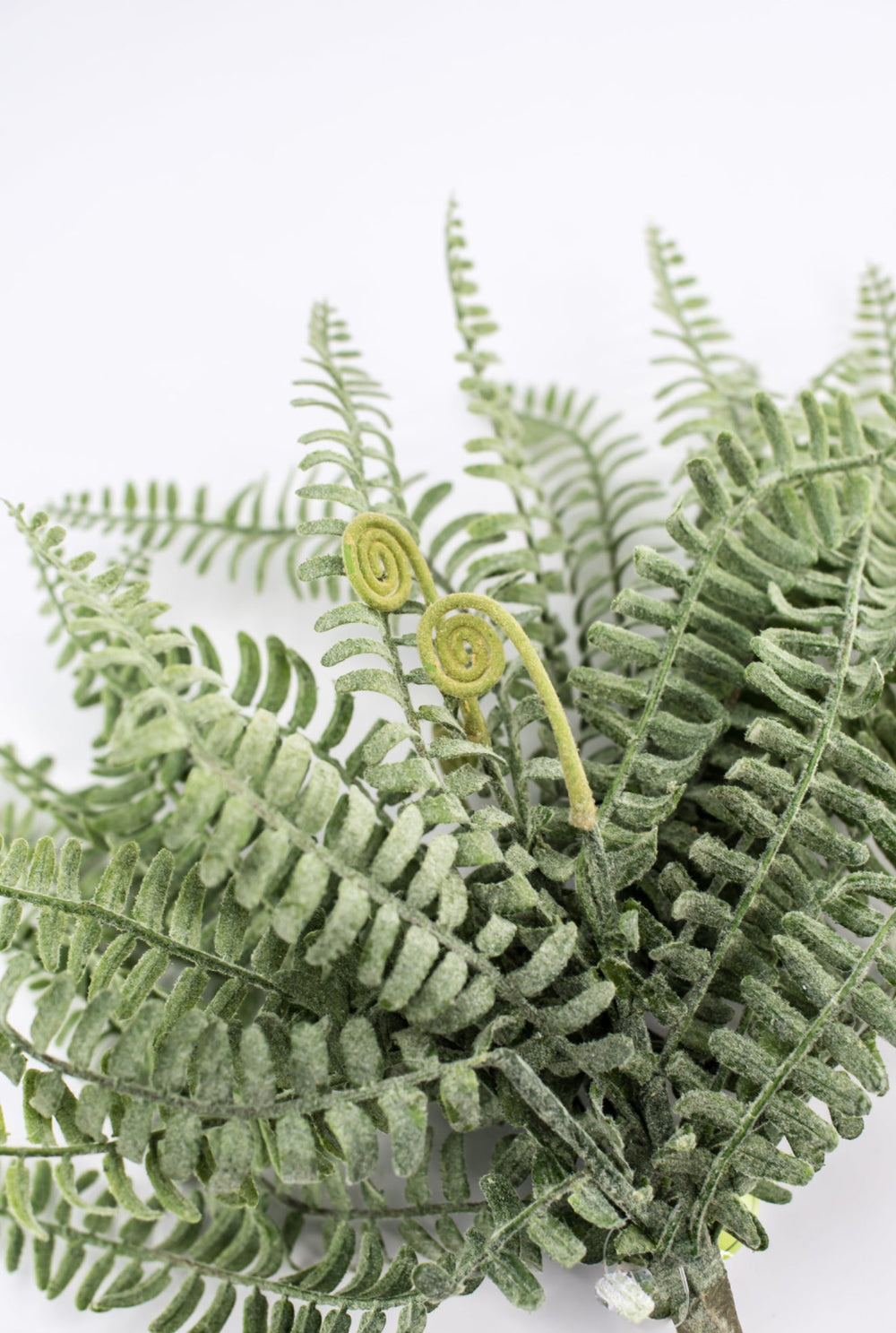 Real touch, leather leaf fern bush - Greenery MarketgreeneryMTF23824
