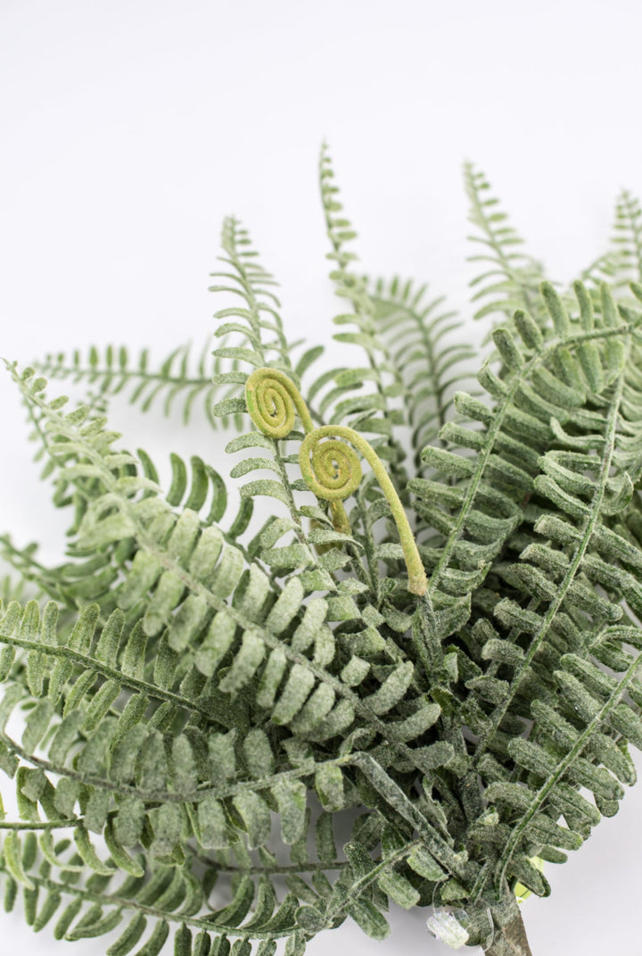Real touch, leather leaf fern bush - Greenery MarketgreeneryMTF23824