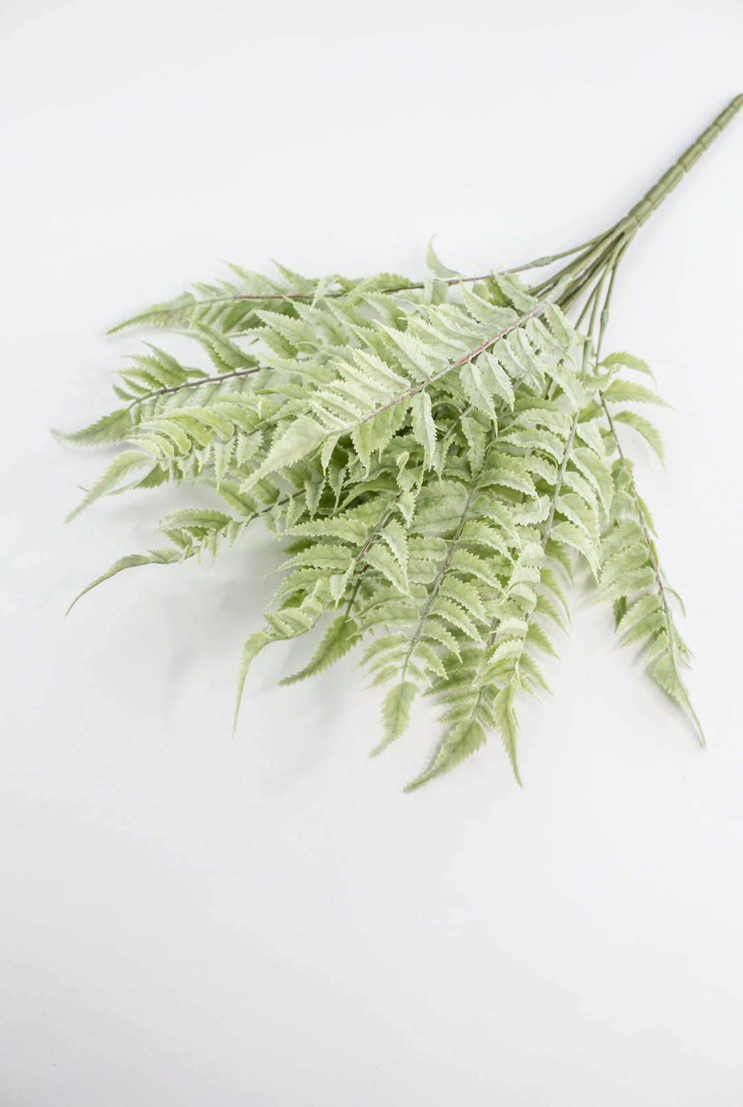 Real touch, soft green, fern bush - Greenery Marketgreenerymtf22172