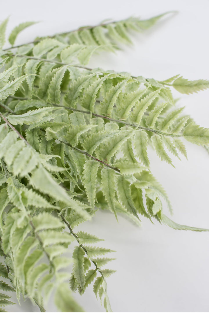 Real touch, soft green, fern bush - Greenery Marketgreenerymtf22172