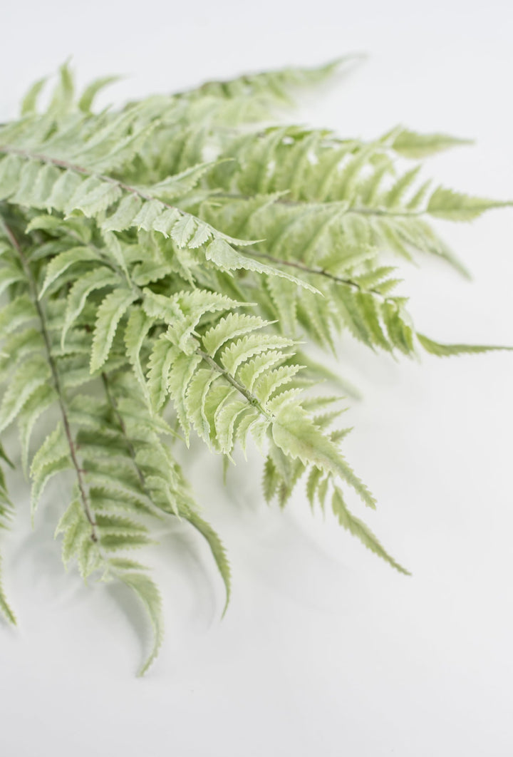 Real touch, soft green, fern bush - Greenery Marketgreenerymtf22172