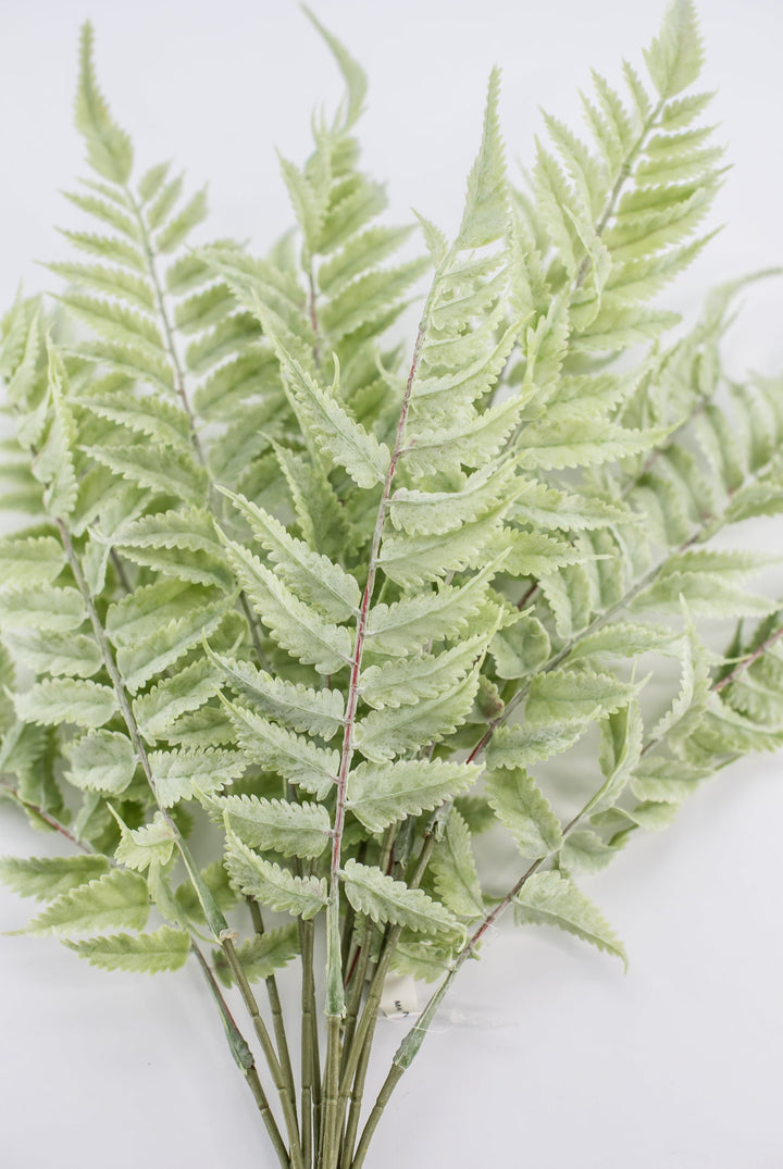Real touch, soft green, fern bush - Greenery Marketgreenerymtf22172