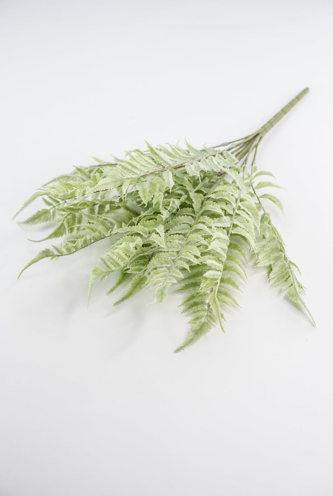 Real touch, soft green, fern bush - Greenery Marketgreenerymtf22172
