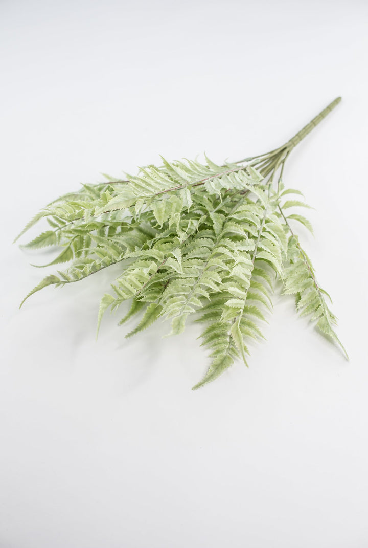 Real touch, soft green, fern bush - Greenery Marketgreenerymtf22172