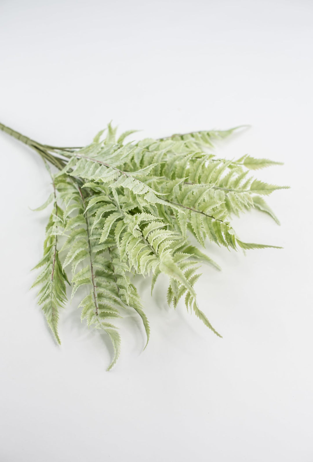Real touch, soft green, fern bush - Greenery Marketgreenerymtf22172