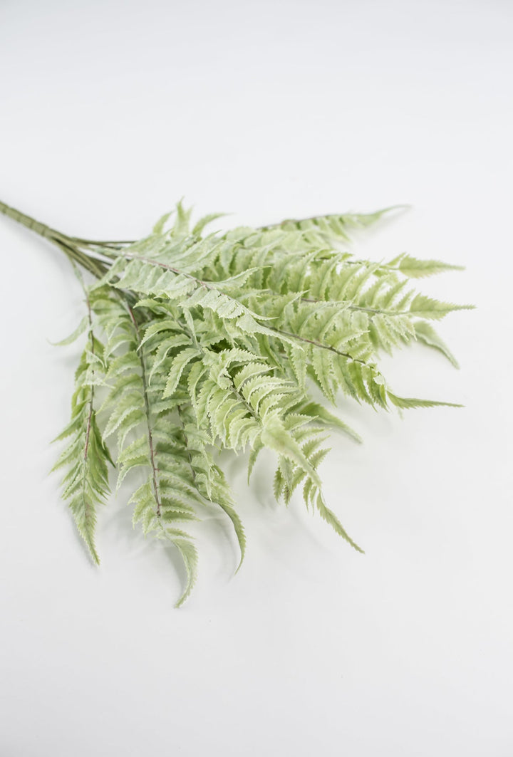 Real touch, soft green, fern bush - Greenery Marketgreenerymtf22172