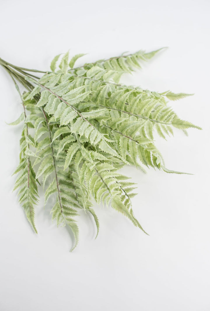 Real touch, soft green, fern bush - Greenery Marketgreenerymtf22172