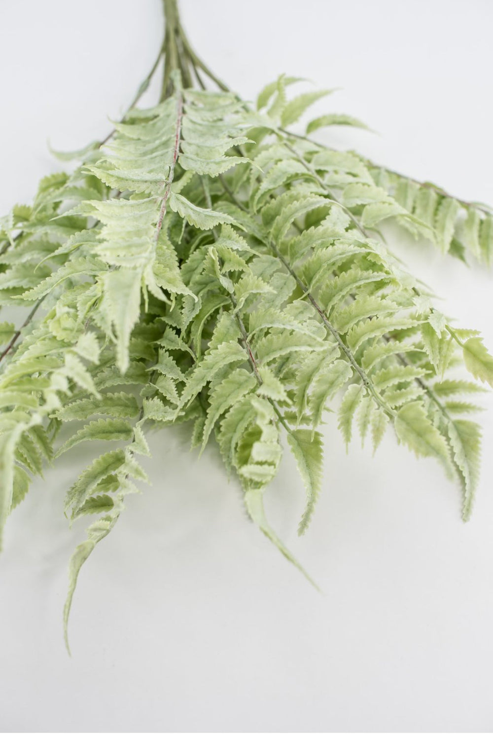 Real touch, soft green, fern bush - Greenery Marketgreenerymtf22172
