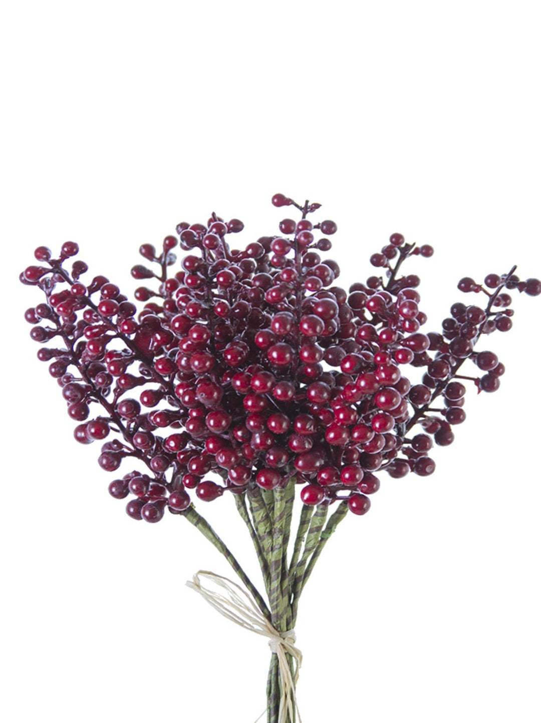 Red Berry bundle - Greenery Market2110152PP