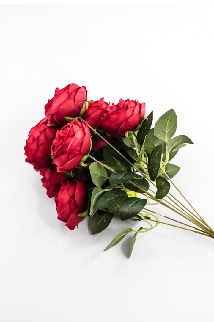 Red Cabbage Rose Bush - Greenery Market35133RD