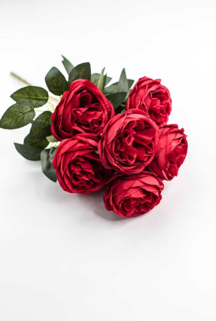 Red Cabbage Rose Bush - Greenery Market35133RD