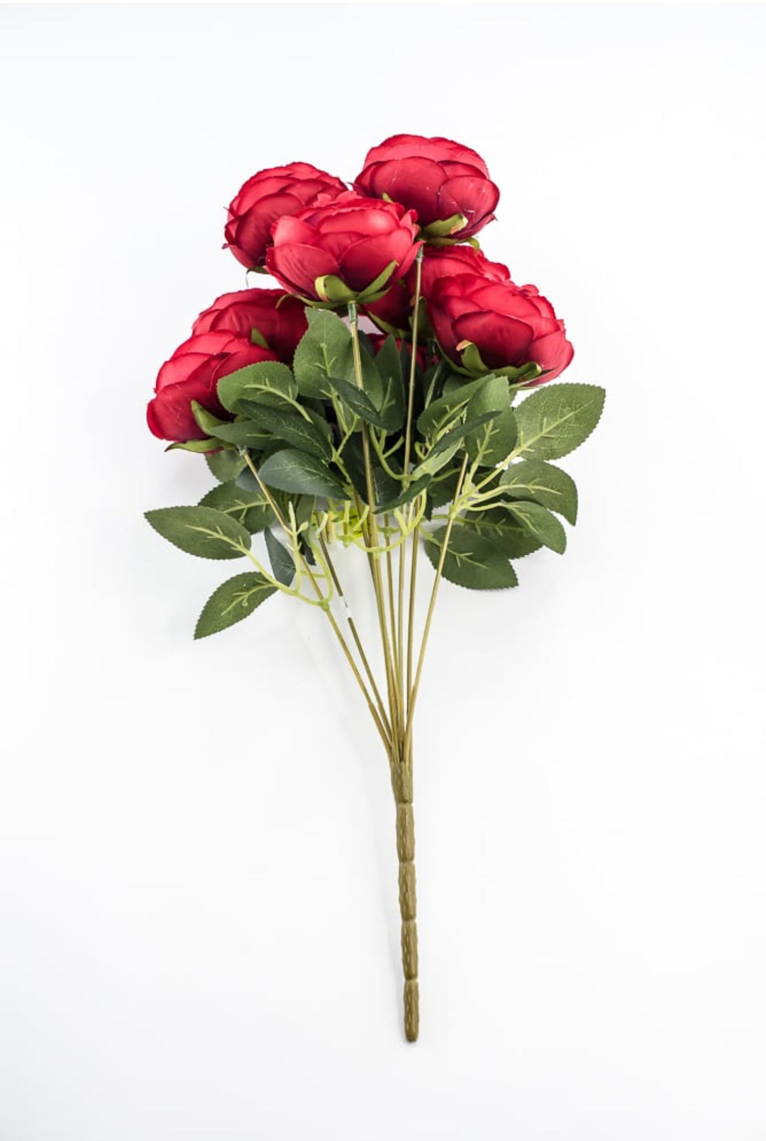 Red Cabbage Rose Bush - Greenery Market35133RD