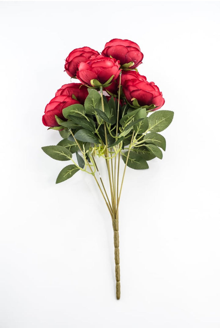 Red Cabbage Rose Bush - Greenery Market35133RD