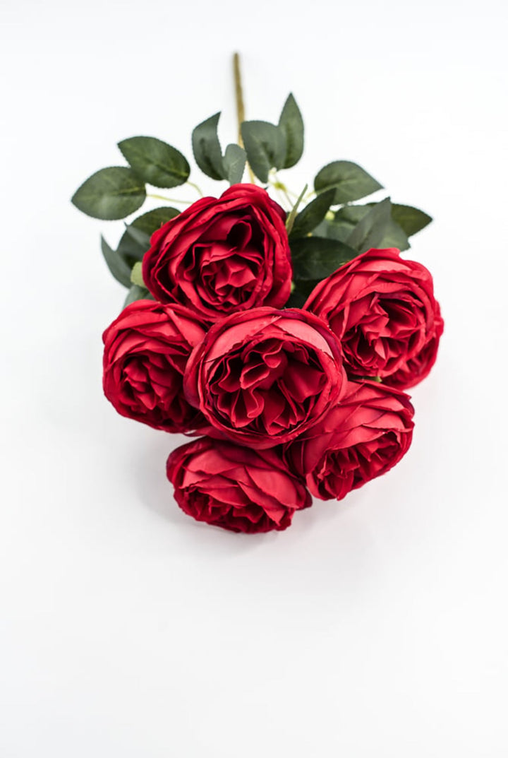 Red Cabbage Rose Bush - Greenery Market35133RD