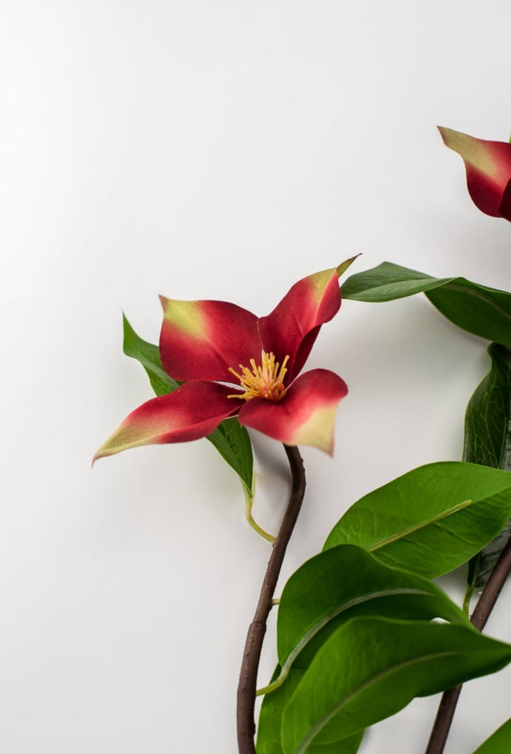 Red, dogwood spray - Greenery Market2290050RG