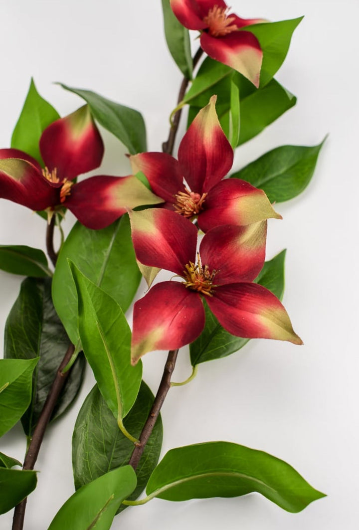 Red, dogwood spray - Greenery Market2290050RG