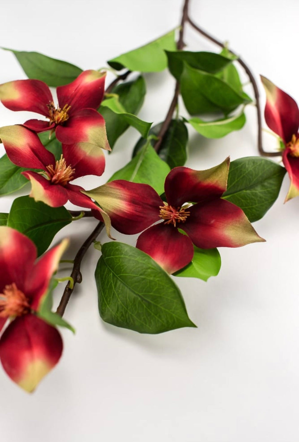 Red, dogwood spray - Greenery Market2290050RG