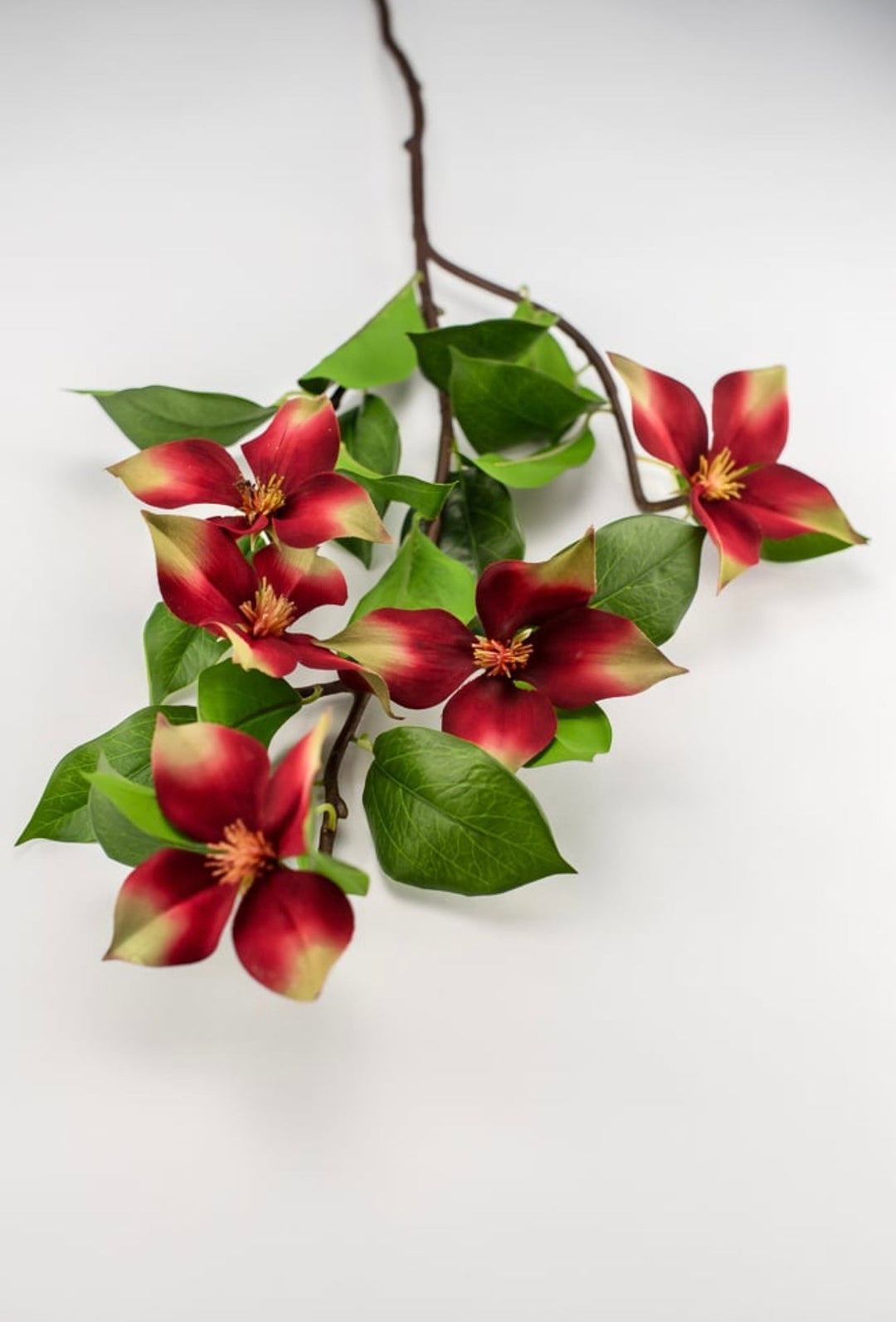 Red, dogwood spray - Greenery Market2290050RG