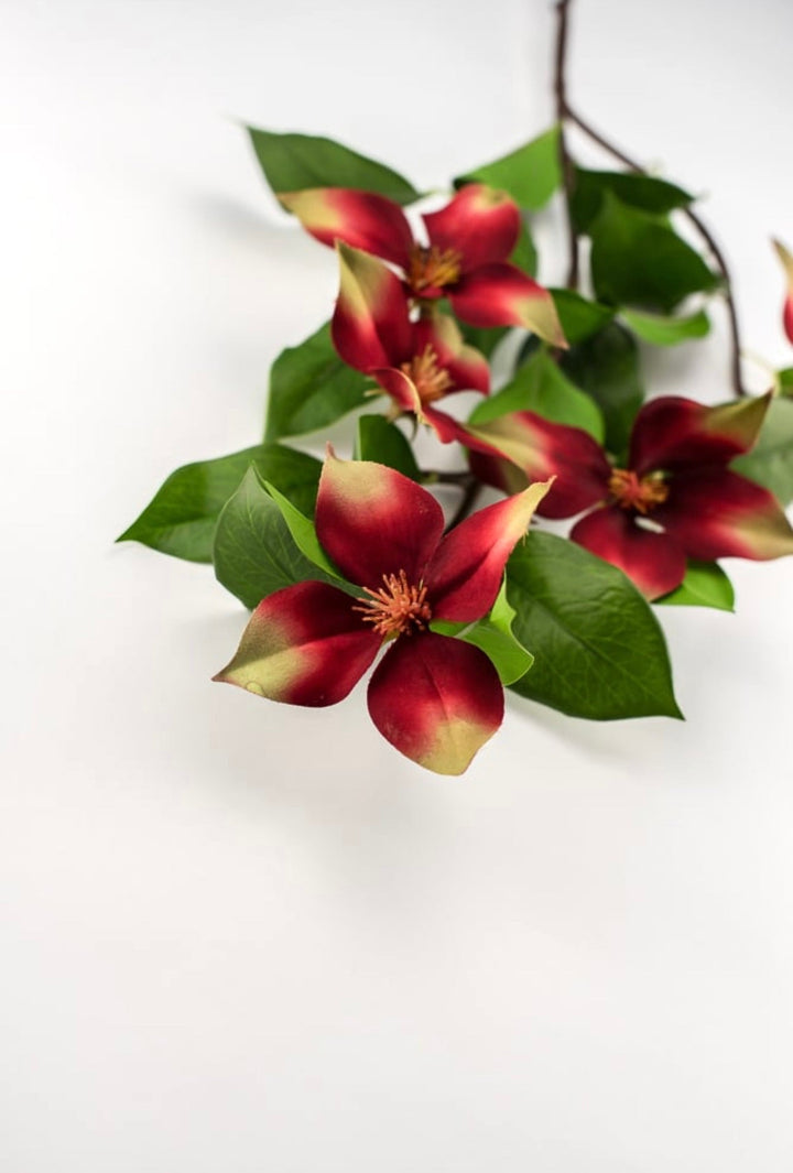 Red, dogwood spray - Greenery Market2290050RG