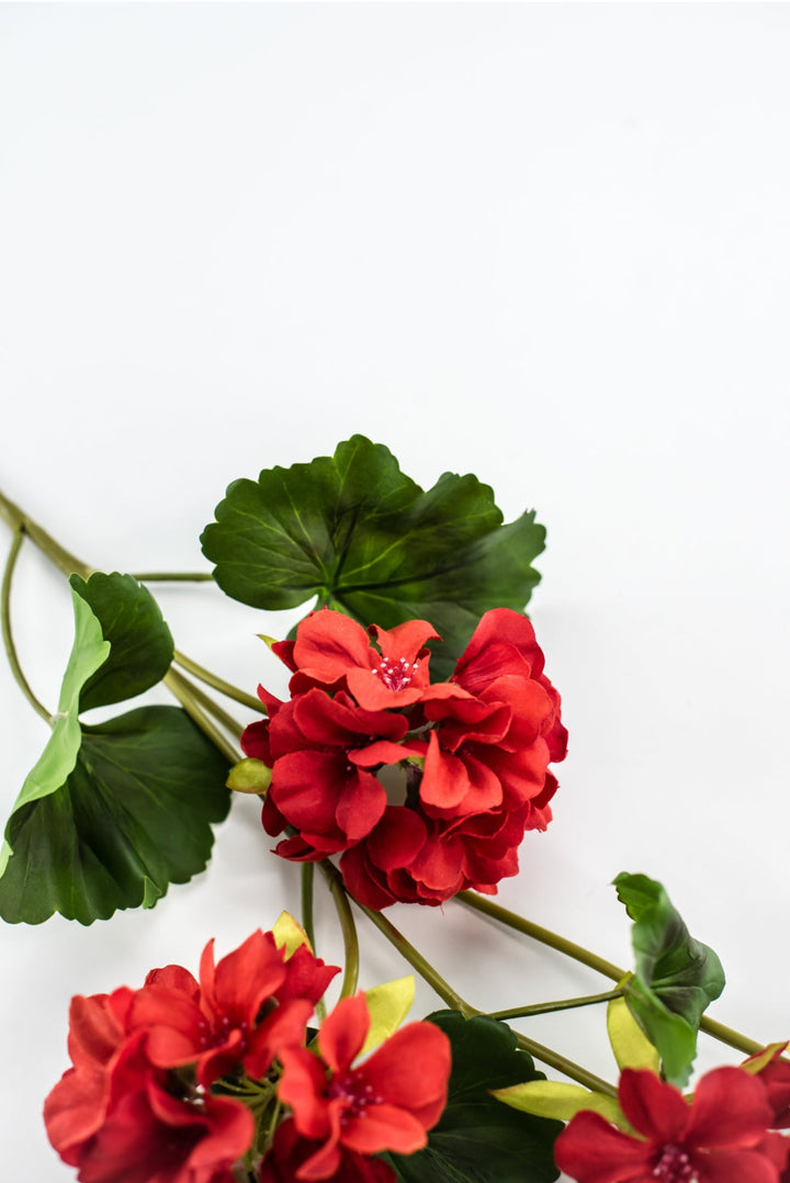 Red, geranium spray, real touch - Greenery Marketartificial flowersMTF24296 RED