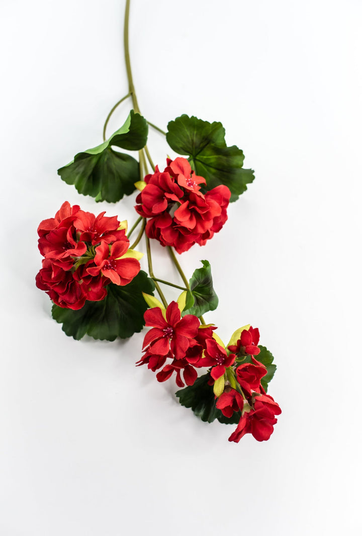 Red, geranium spray, real touch - Greenery Marketartificial flowersMTF24296 RED