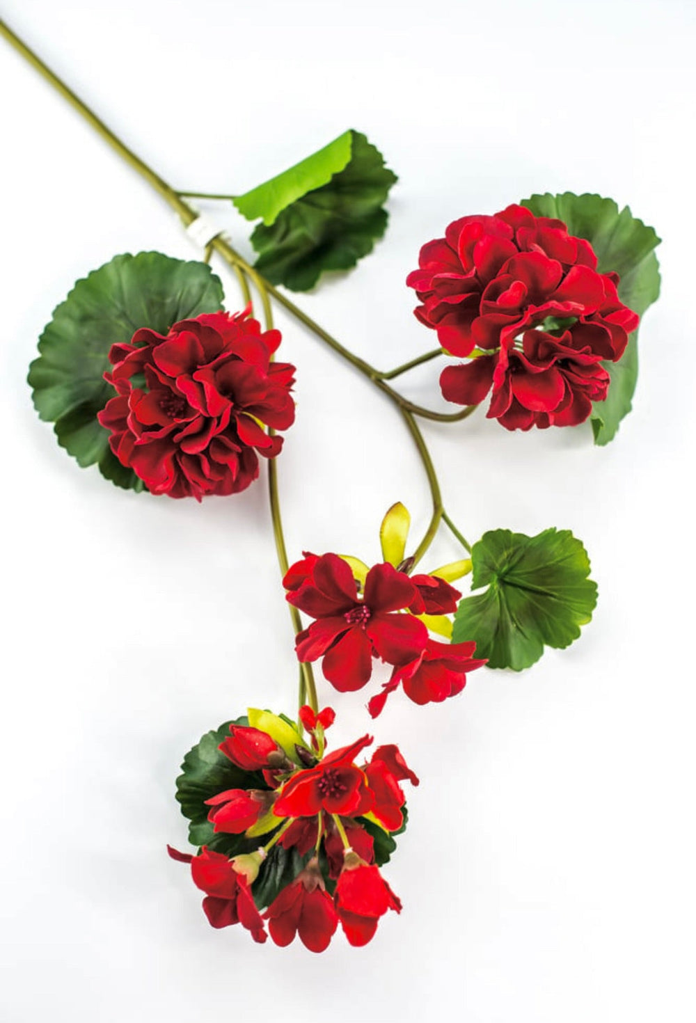 Red, geranium spray, real touch - Greenery Marketartificial flowersMTF24296 RED