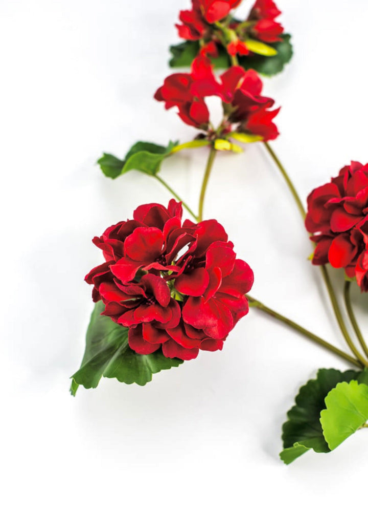 Red, geranium spray, real touch - Greenery Marketartificial flowersMTF24296 RED