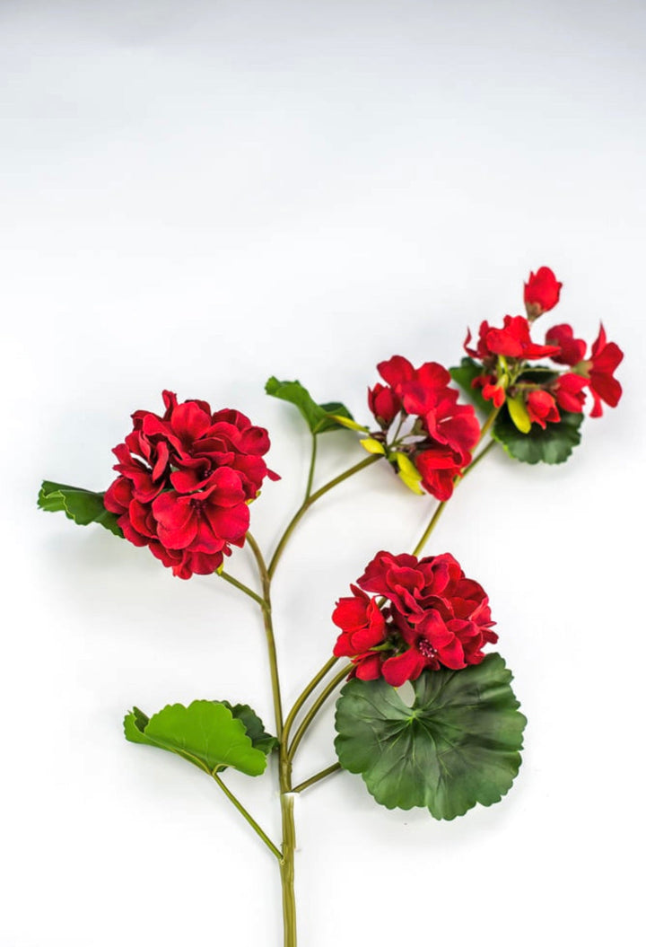 Red, geranium spray, real touch - Greenery Marketartificial flowersMTF24296 RED