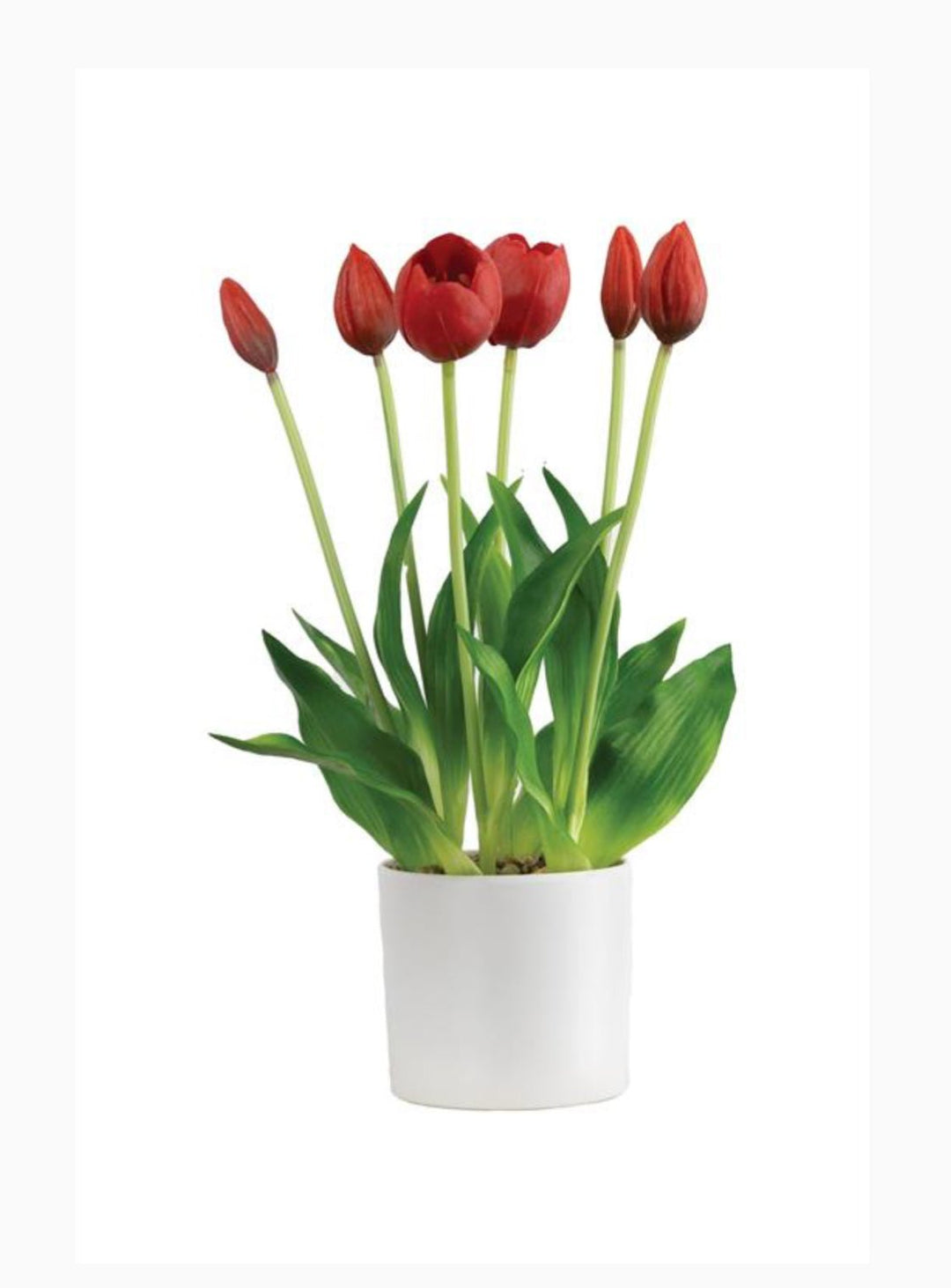 Red, life like tulips in a container - Greenery Market6544 - R