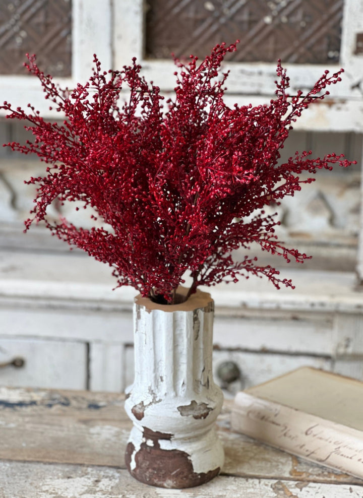 Red mini berry bush - Greenery MarketXVP9703