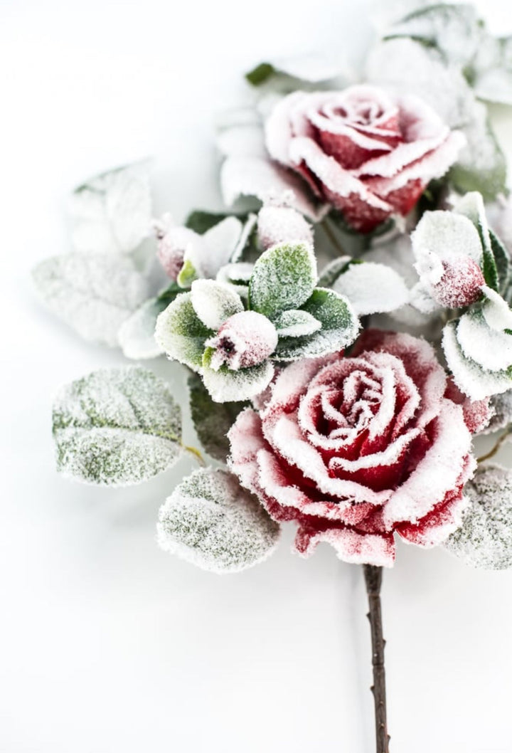 Red rose and berry spray - Greenery Market83754 - RD