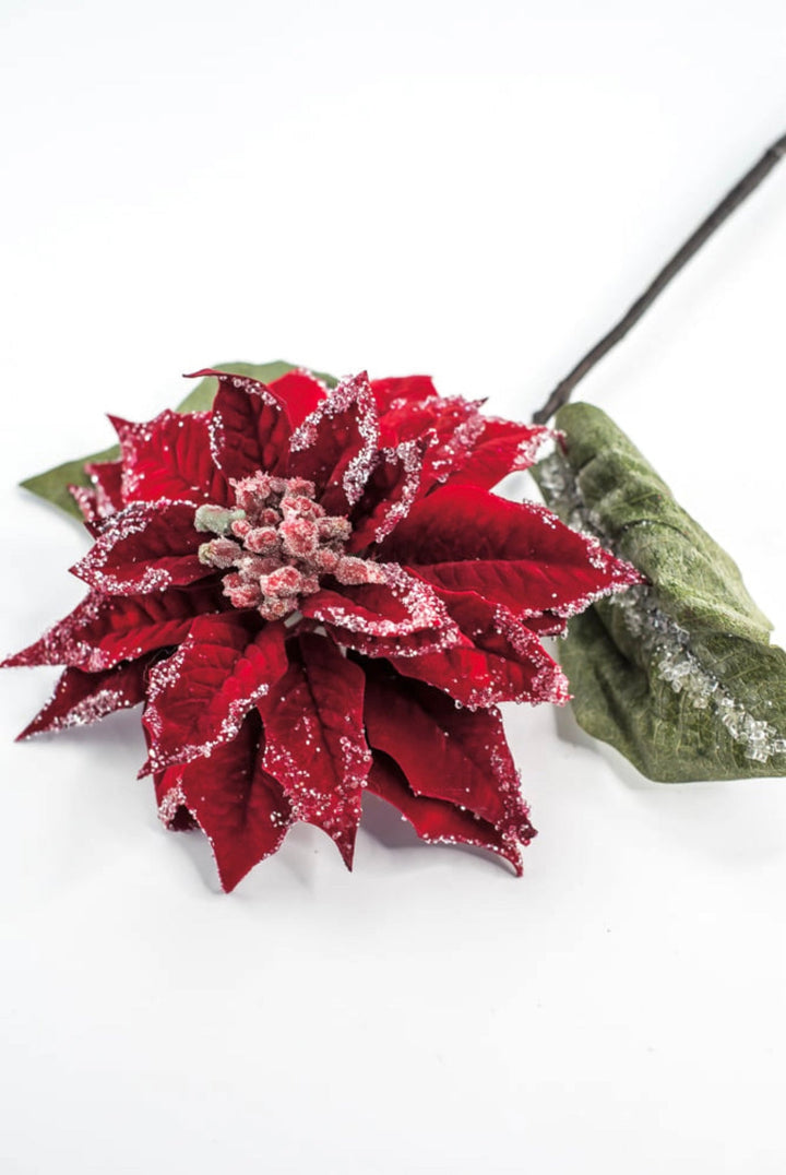 Red velvet iced poinsettia stem - Greenery MarketMTX74542 RED