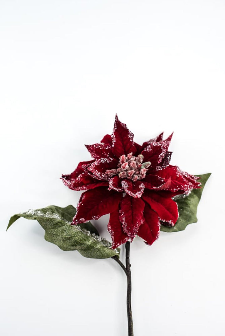 Red velvet iced poinsettia stem - Greenery MarketMTX74542 RED