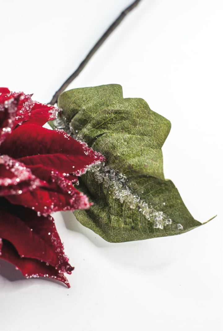 Red velvet iced poinsettia stem - Greenery MarketMTX74542 RED