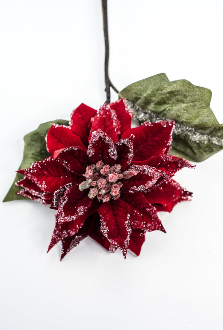 Red velvet iced poinsettia stem - Greenery MarketMTX74542 RED
