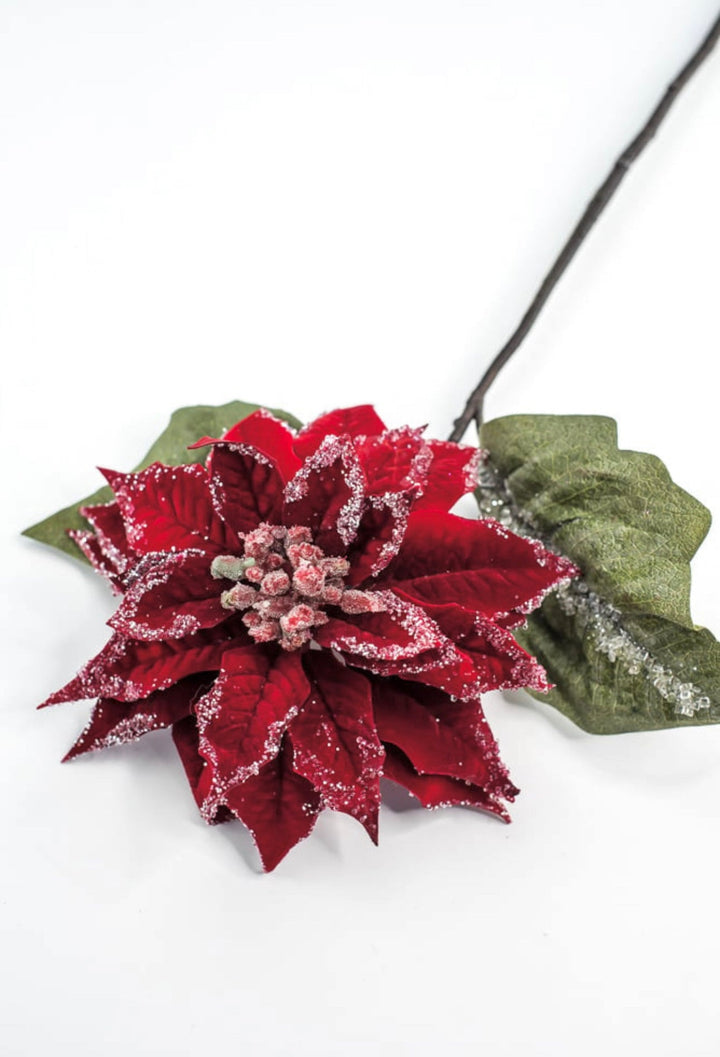 Red velvet iced poinsettia stem - Greenery MarketMTX74542 RED