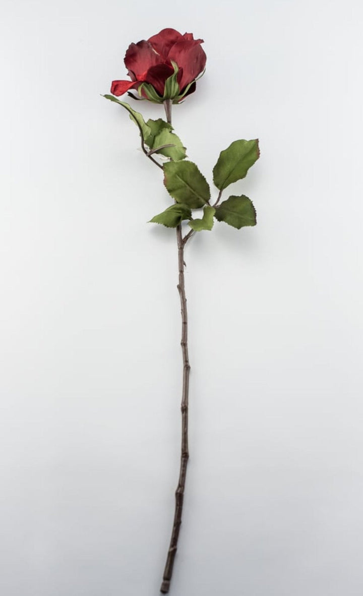 Red velvet rose stem - Greenery MarketXH531 - R