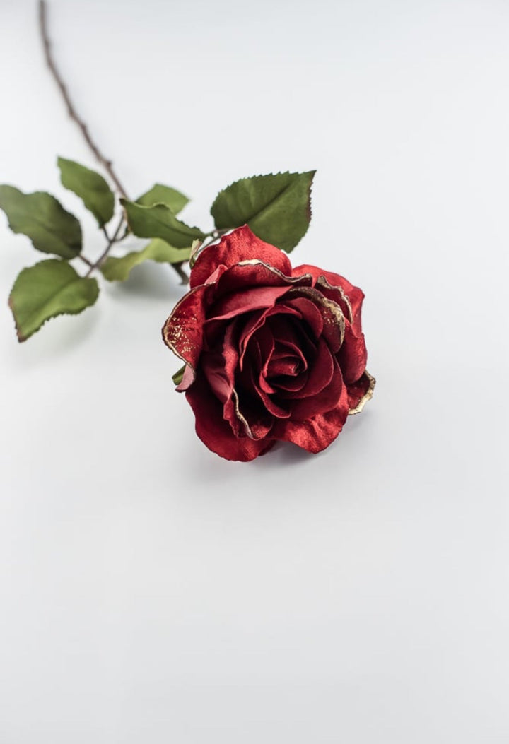 Red velvet rose stem - Greenery MarketXH531 - R