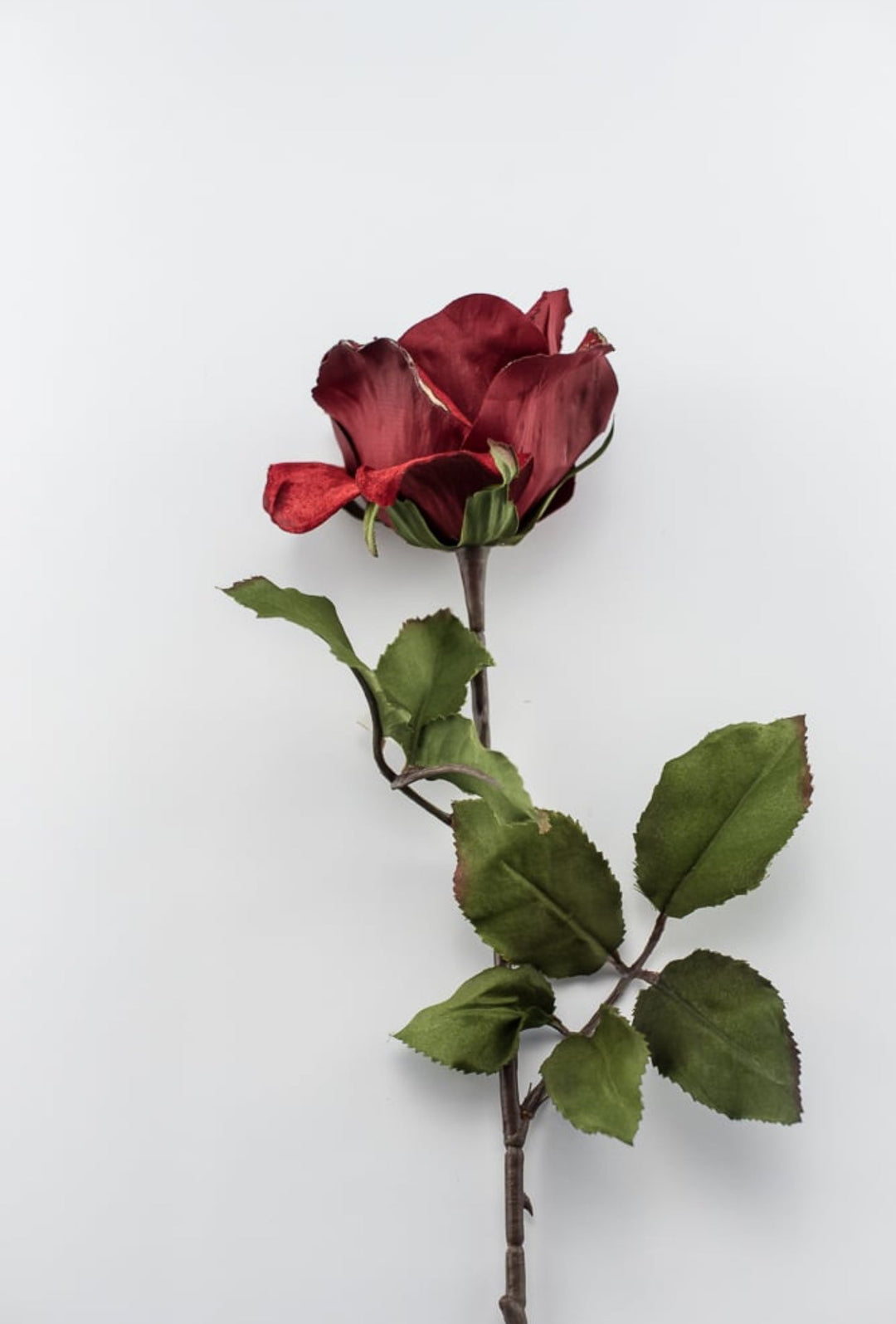 Red velvet rose stem - Greenery MarketXH531 - R