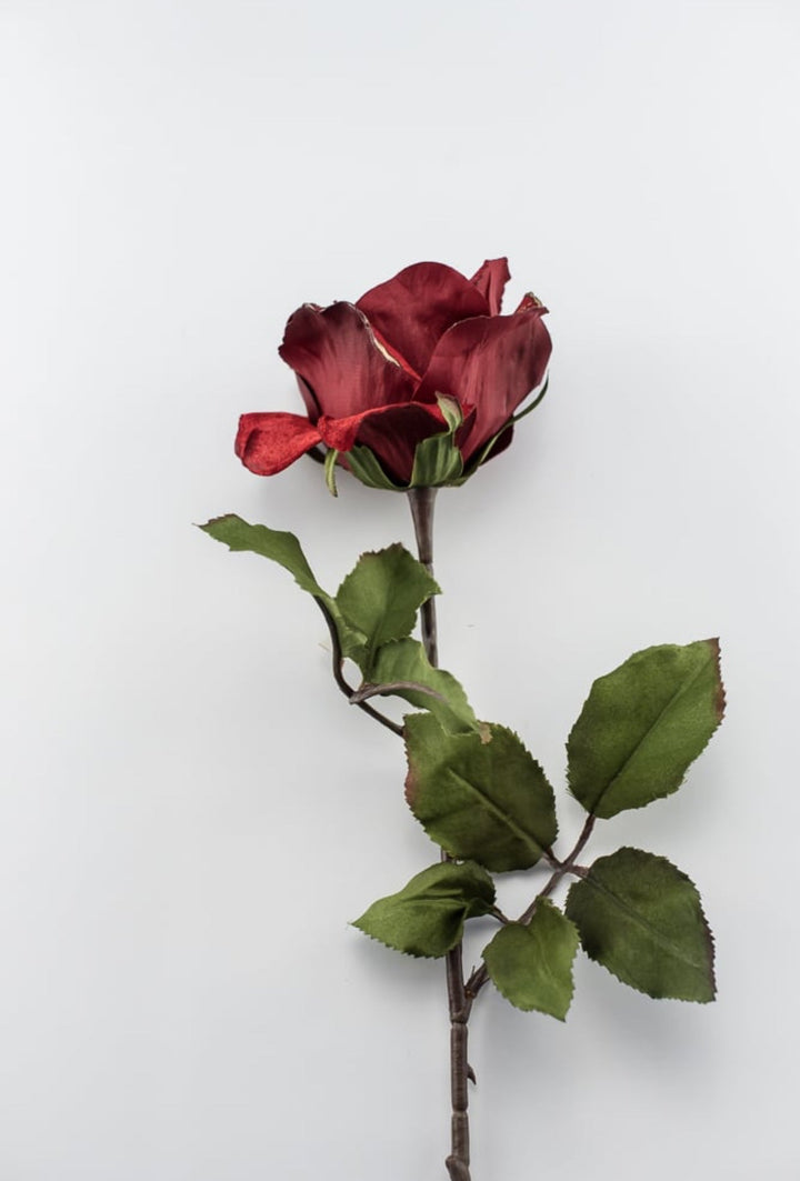 Red velvet rose stem - Greenery MarketXH531 - R