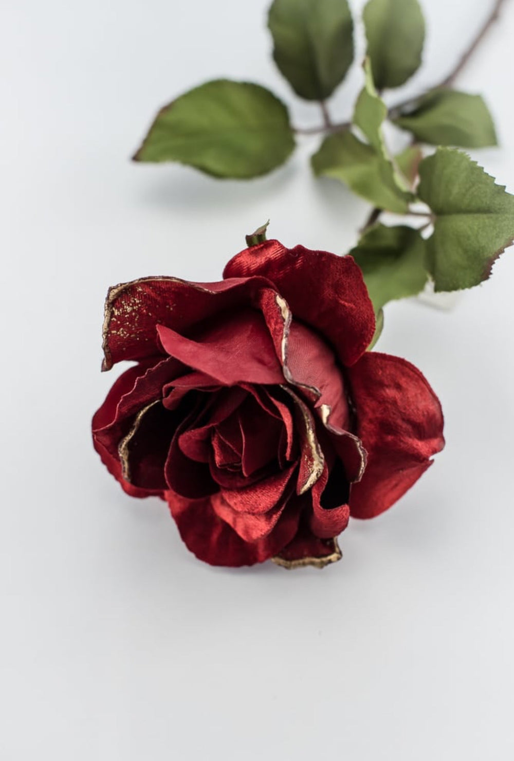 Red velvet rose stem - Greenery MarketXH531 - R
