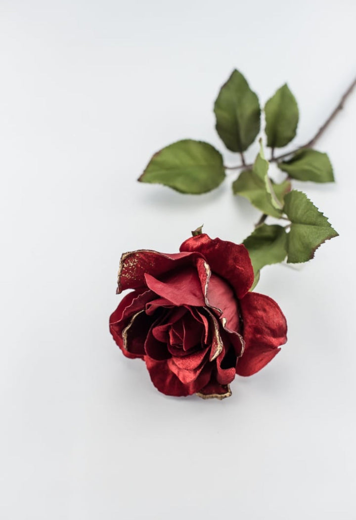 Red velvet rose stem - Greenery MarketXH531 - R