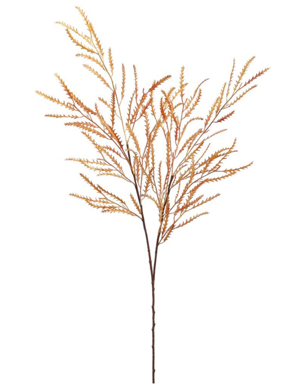 Reed wheat spray - autumn - Greenery MarketArtificial FloraFSG558 - MD