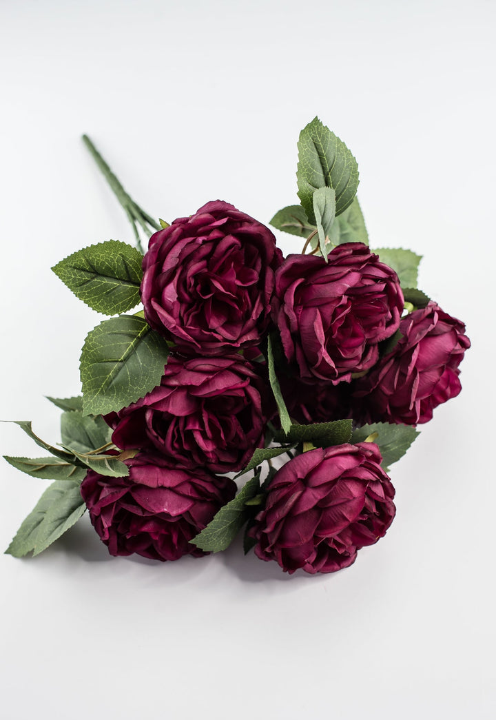 Rose bush - Burgundy wine - Greenery Market84487 - BG
