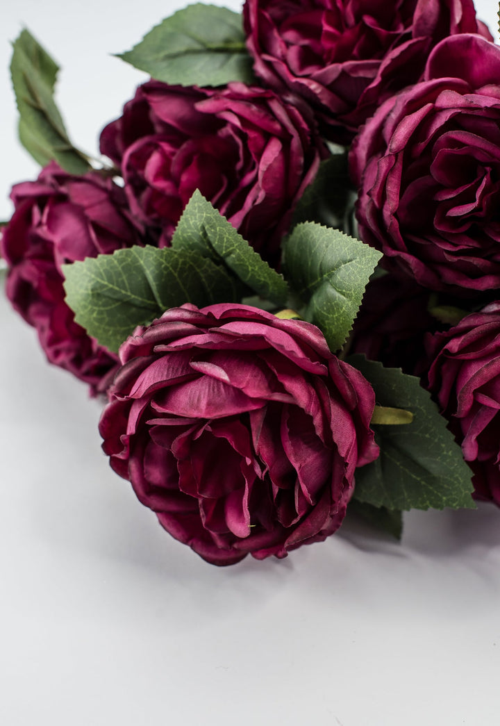 Rose bush - Burgundy wine - Greenery Market84487 - BG