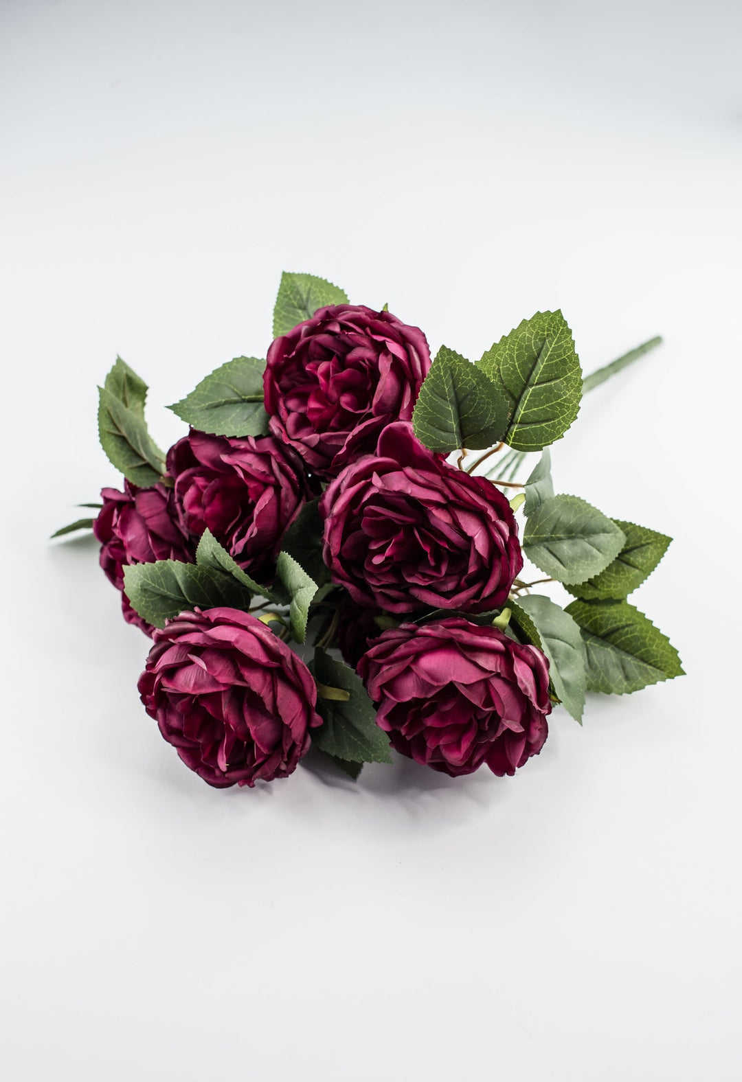Rose bush - Burgundy wine - Greenery Market84487 - BG