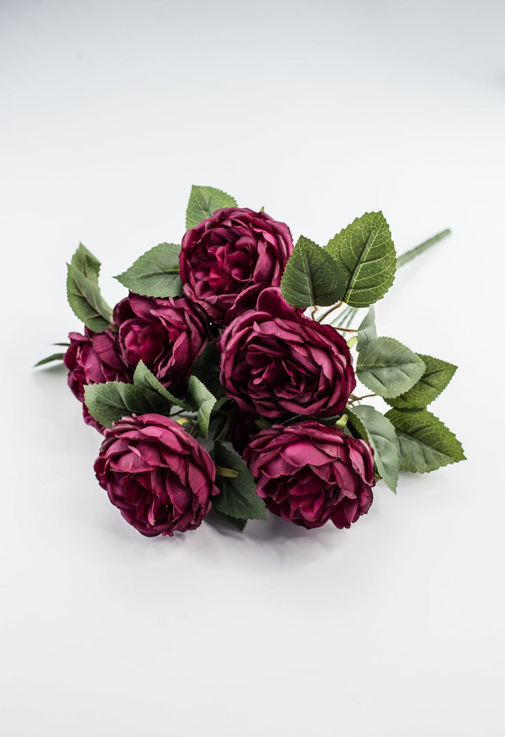 Rose bush - Burgundy wine - Greenery Market84487 - BG