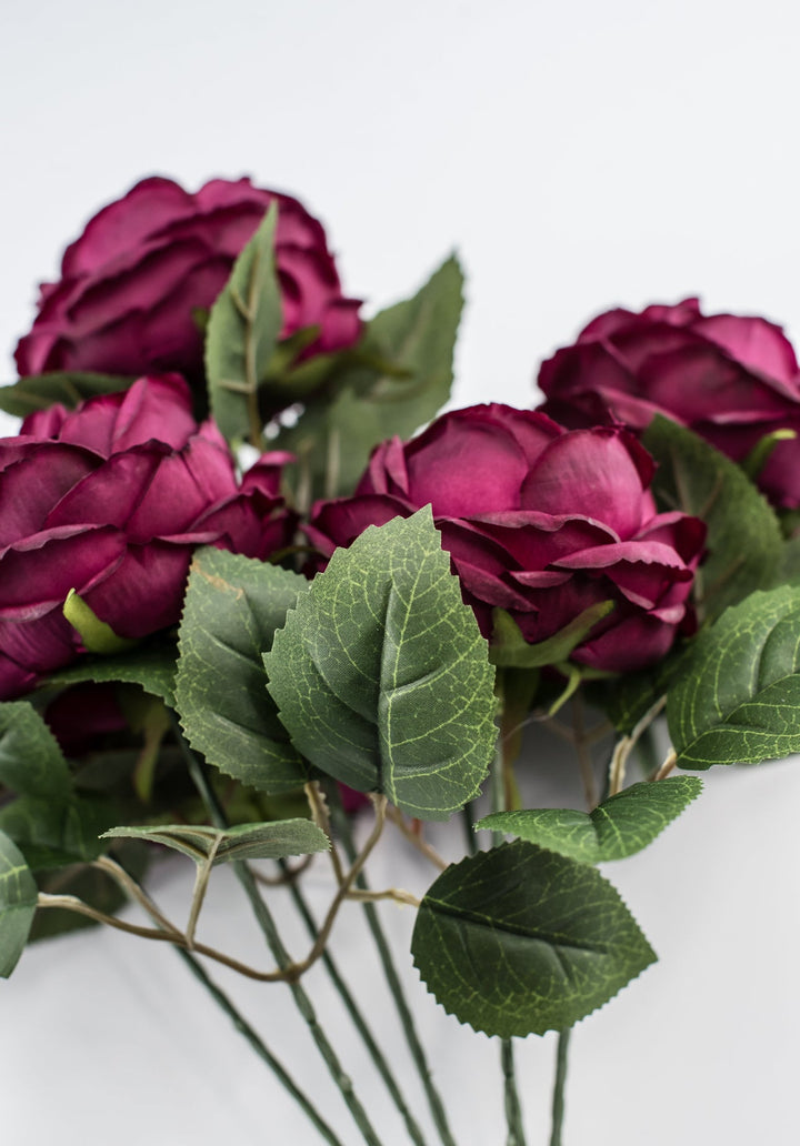 Rose bush - Burgundy wine - Greenery Market84487 - BG