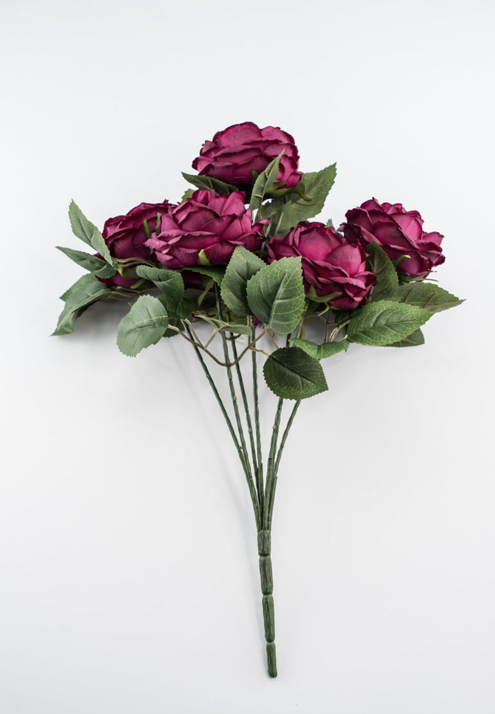 Rose bush - Burgundy wine - Greenery Market84487 - BG