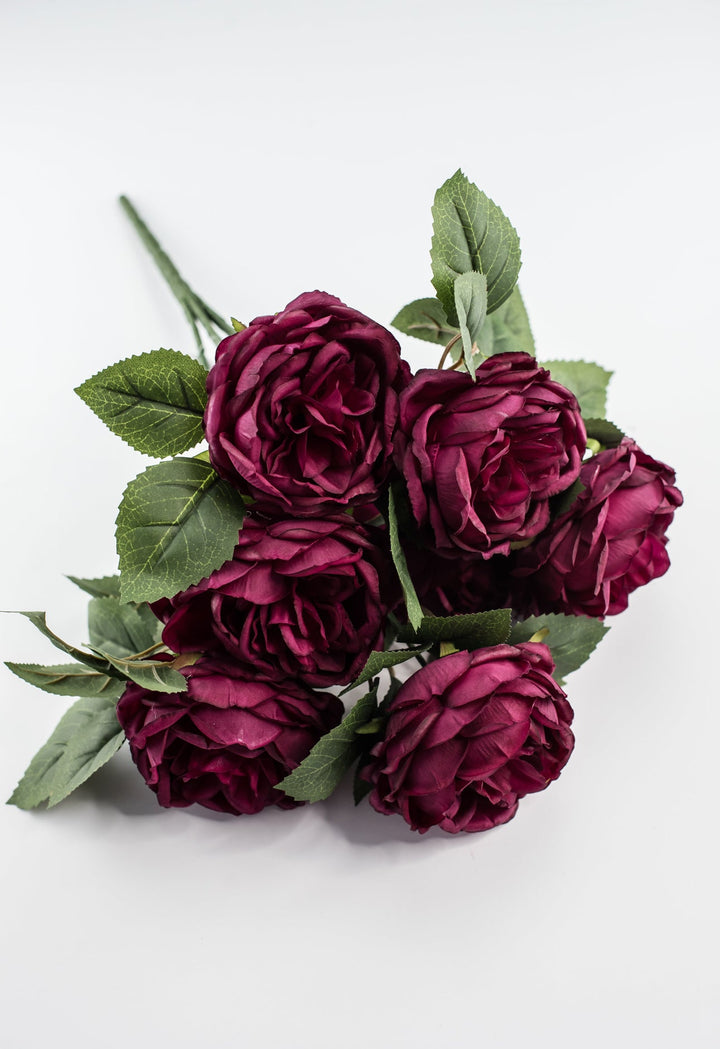 Rose bush - Burgundy wine - Greenery Market84487 - BG